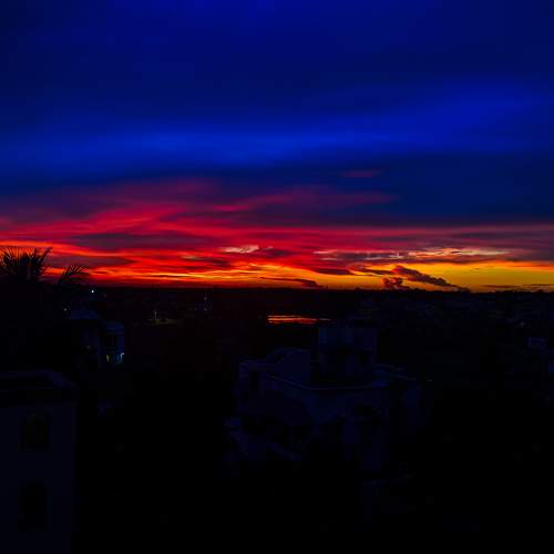 Photo #8366571