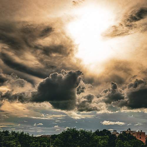 Photo #8366572