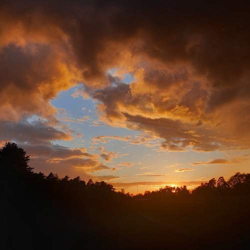 Photo #8366671