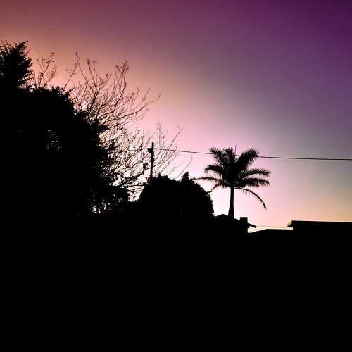 Photo #8366673
