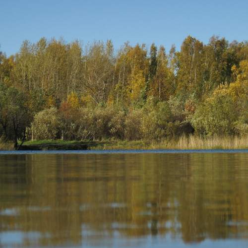 Photo #8366768