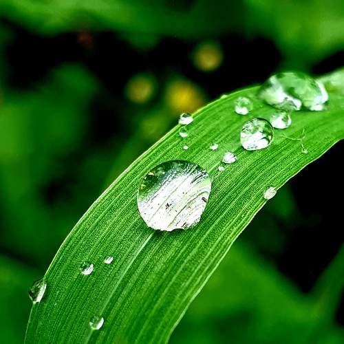 Photo #8366832