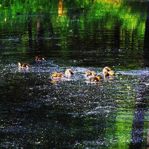 Photo #8366841