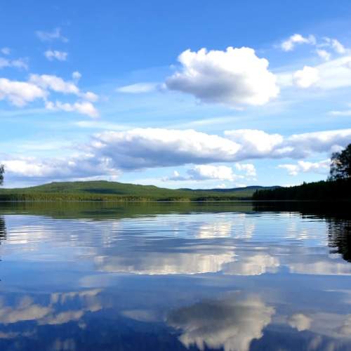 Photo #8366849
