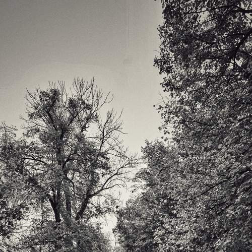 Rainy Morning