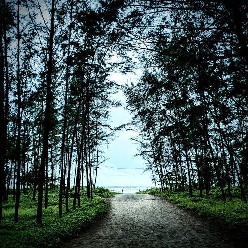 Way to beach
