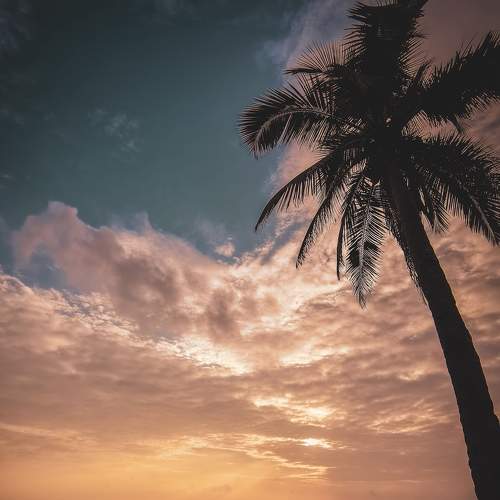 Photo #8366987