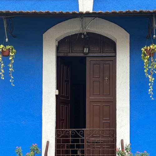Photo #8366999
