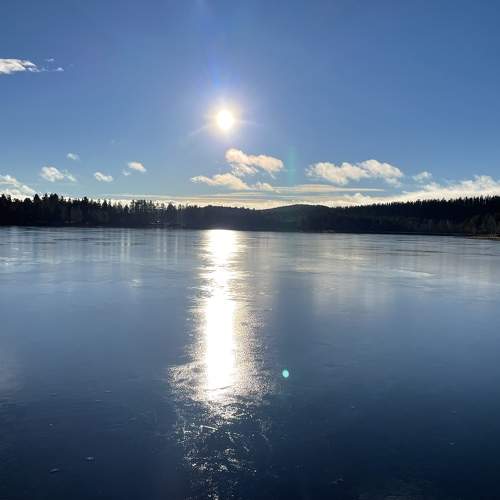 Photo #8367101