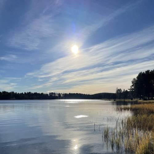 Photo #8367103