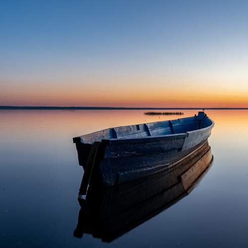 Photo #8367139
