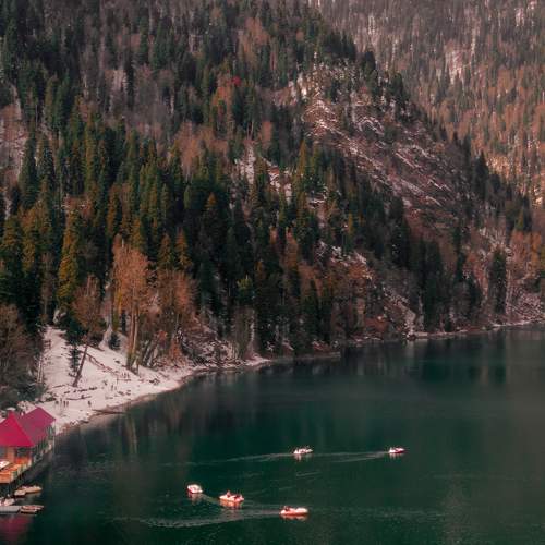 Photo #8367168