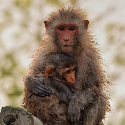 Photo #8367266