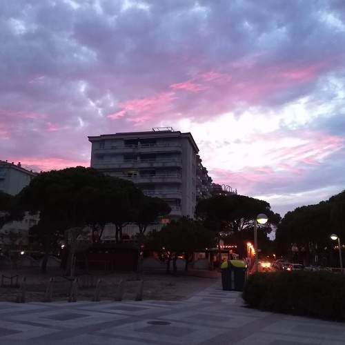 Photo #8367347