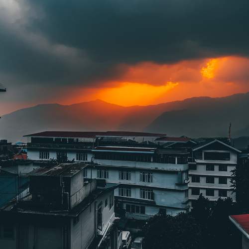 Photo #8367911