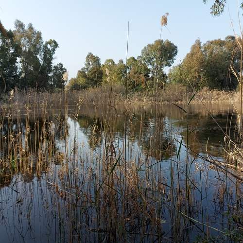 Photo #8367924