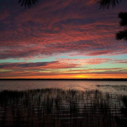 Photo #8367960