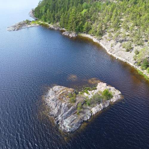 Photo #8368080