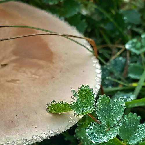 Photo #8368127