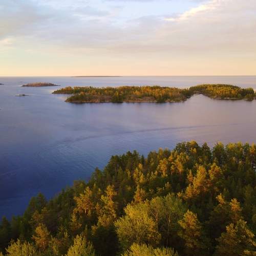 Photo #8368158