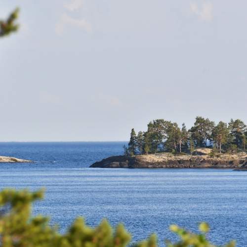 Photo #8368195