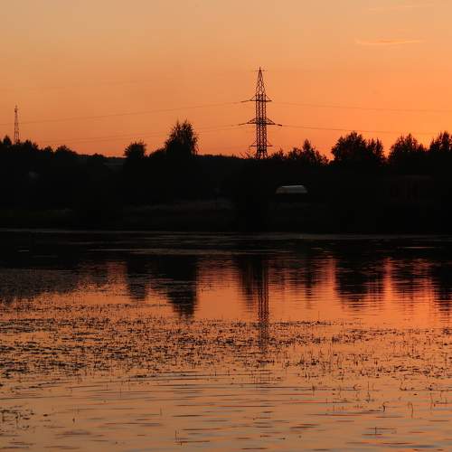 Photo #8368238