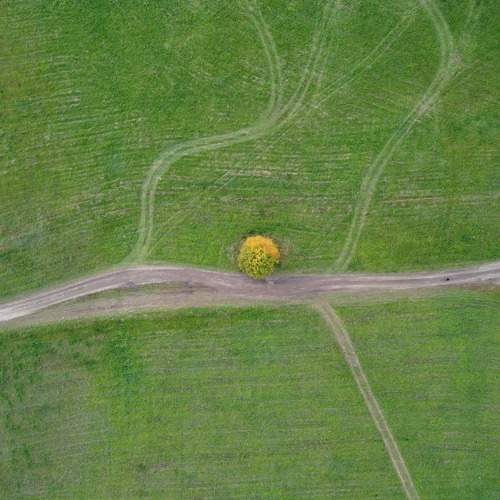 Photo #8368250