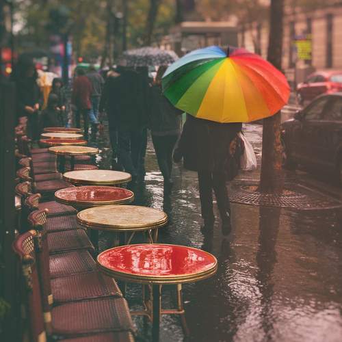Photo #8368337