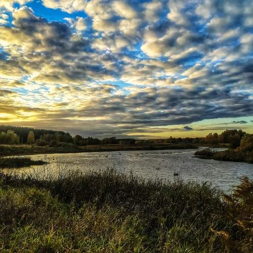 Photo #8368346