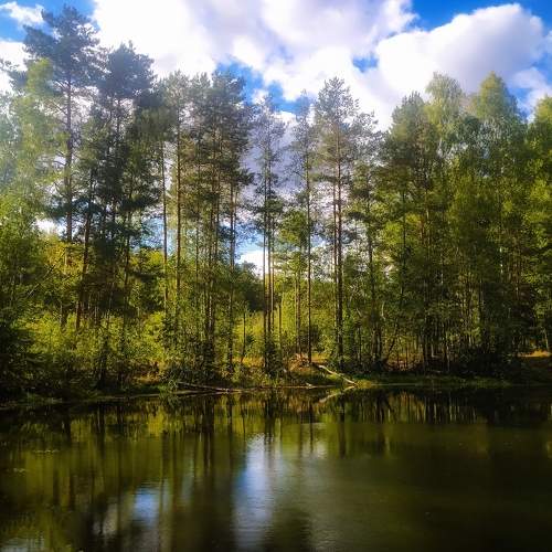 Photo #8368350