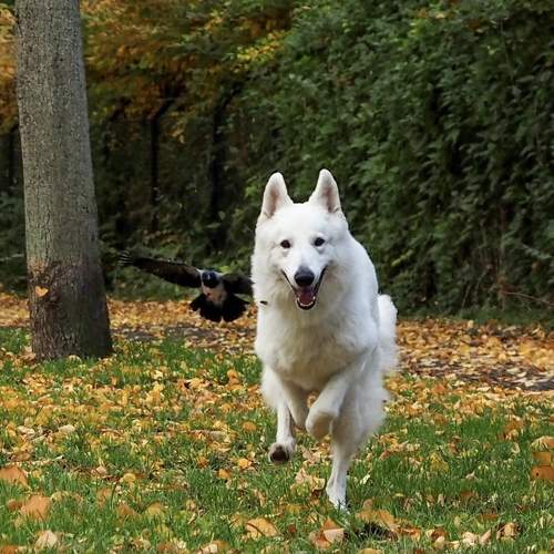 Photo #8368357