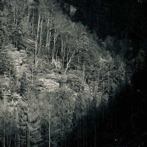 Photo #8368369
