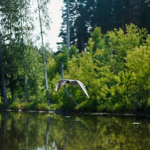 Photo #8368395