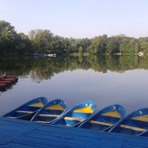 Photo #8368429