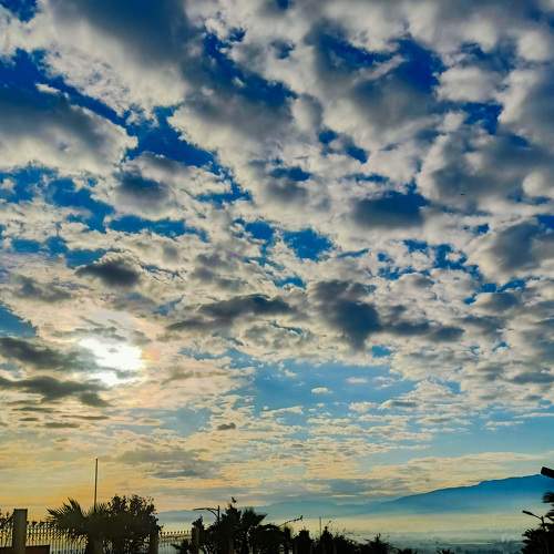 Photo #8368446
