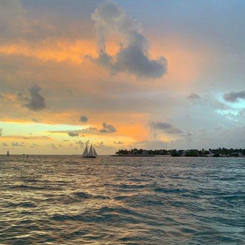 Photo #8368472