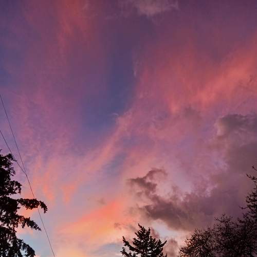 Photo #8368481