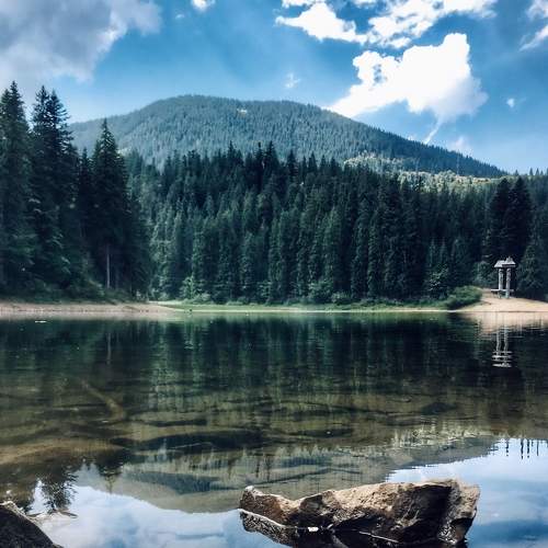 Photo #8368525