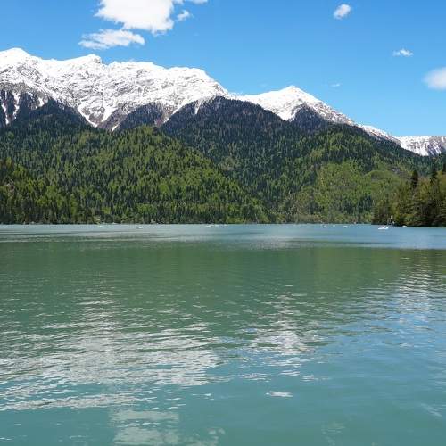 Photo #8368684