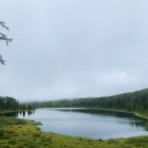 Photo #8368685