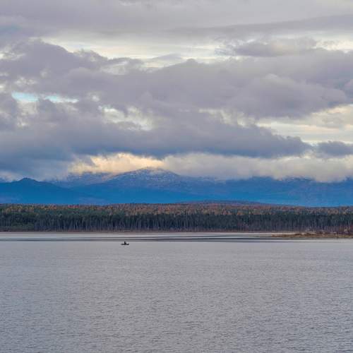 Photo #8368751