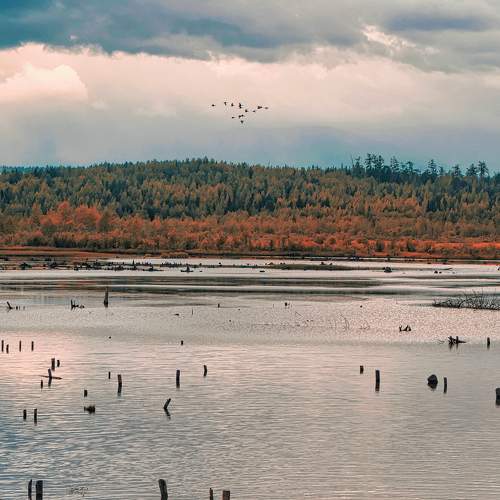 Photo #8368753