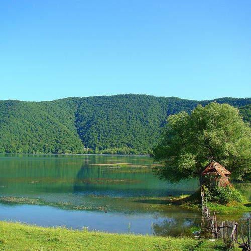 Photo #8368862