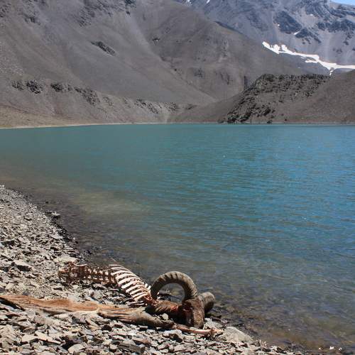 Photo #8368974