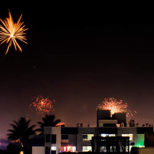 Photo #8369079