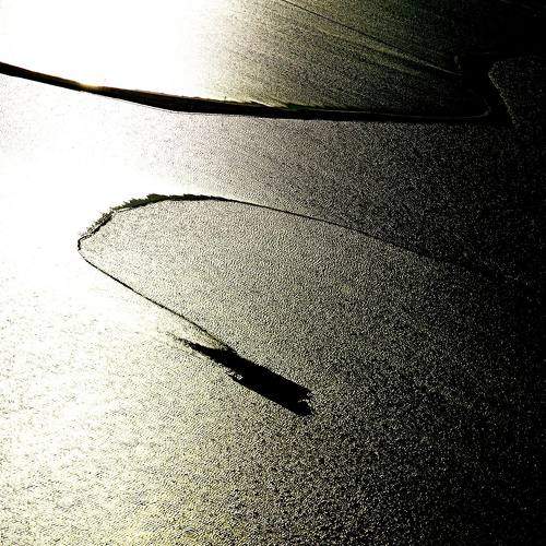 Photo #8369513