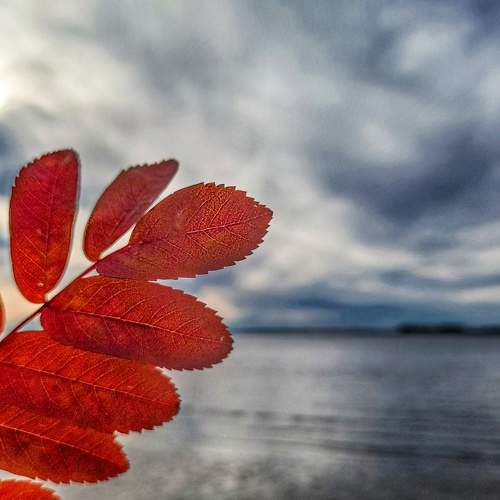Photo #8369514