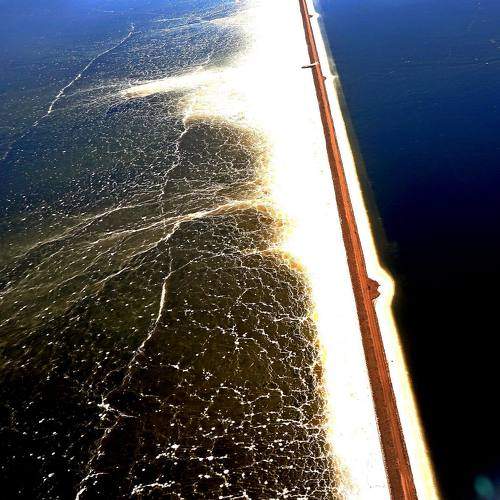 Photo #8369524