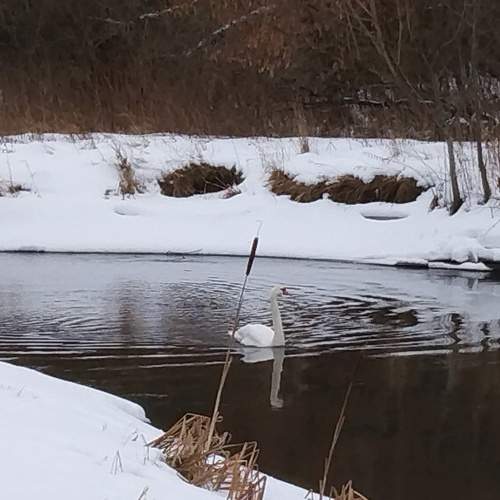 Photo #8369824