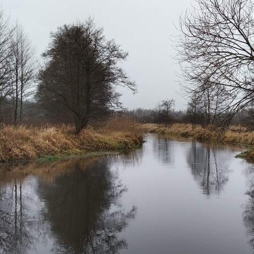 Plisa river